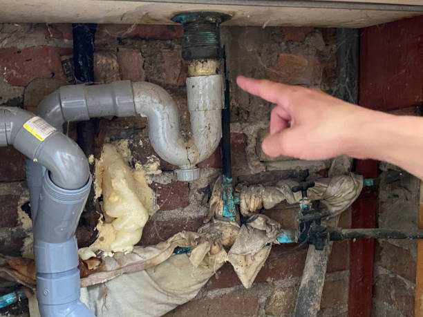 Best Sewage cleanup and water damage restoration  in Holly Springs, MS